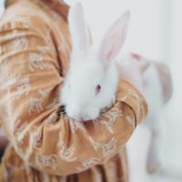 cruelty free ve vegan alışveriş